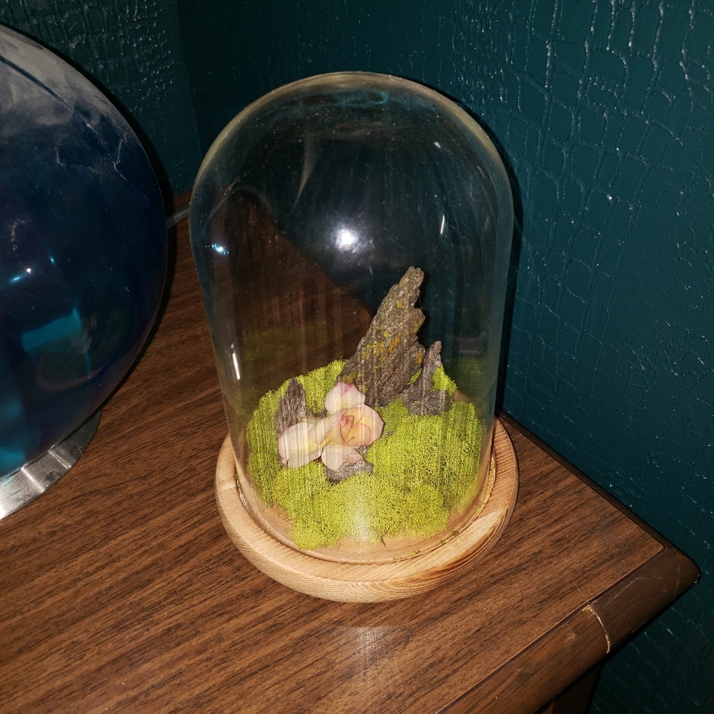 Handmade Moss Terrarium Rose Wood